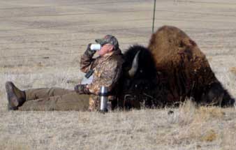 Guided Buffalo Hunting