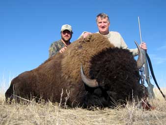 Free Range Buffalo Hunt