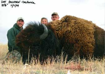 Guided Buffalo Hunt