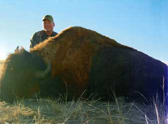 Buffalo Hunting