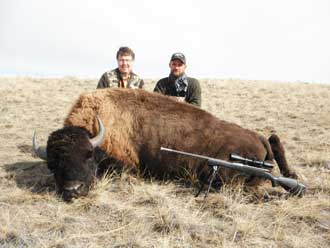 Cow Buffalo Meat Hunt