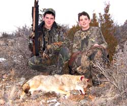 Coyote Hunting Guide