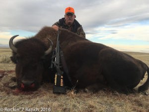 Trophy Bison Hunts