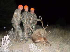 Guided Wyoming Elk Hunt