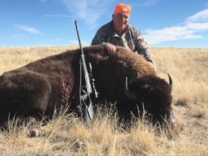 Free Range Buffalo Hunt