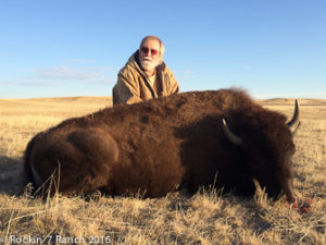 Bison Hunting