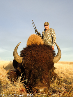 Bison Hunting Ranch