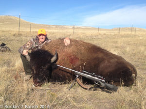 Wyoming Bison Hunt