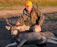 Wyoming Mule Deer