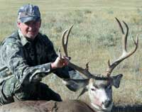 Wyoming Mule Deer