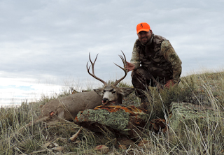 Guided Wyoming Trophy Mule Deer Hunts