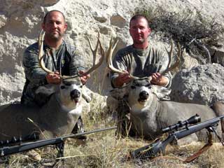 Guided Mule Deer Hunt