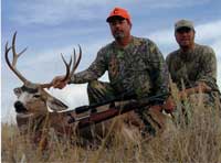 Wyoming Mule Deer