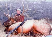 Wyoming Elk Hunting Guide