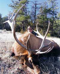 Elk Hunt Wyoming