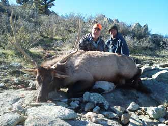 Wyoming Guided Elk Hunts