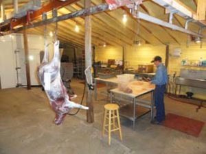 Meat Processing