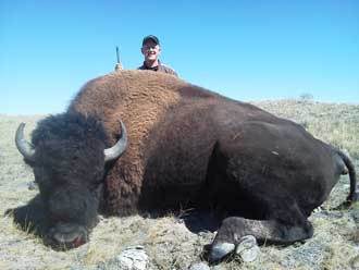 Wyoming Buffalo Hunts