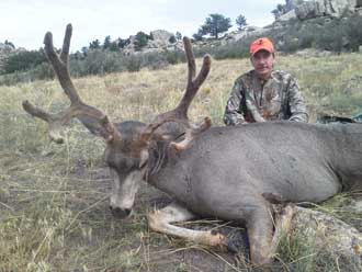 Trophy Velvet Mule Deer