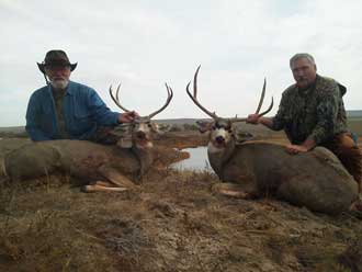 Wyoming Management Deer Hunt