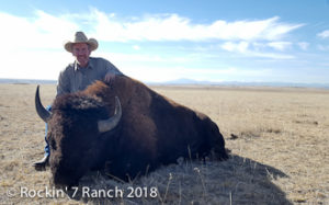 Wyoming Grass Fed Buffalo Bison Hunts