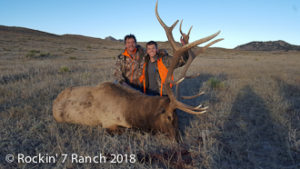 Wyoming Bull Elk Hunts