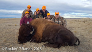 Wyoming Free Range Buffalo Bison Hunt