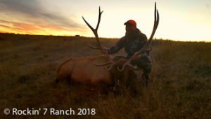 Wyoming Elk Hunting