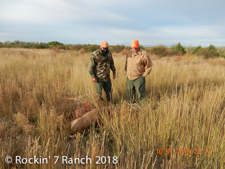 Wyoming Mule Deer Hunting Guide