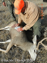 Wyoming Mule Deer Hunts