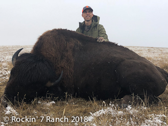 Wyoming Buffalo Hunts