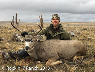 Wyoming Mule Deer Hunting