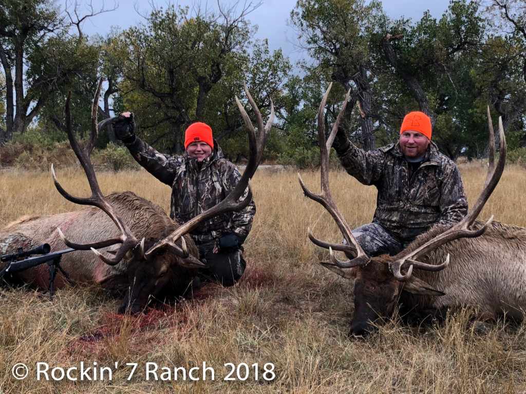 Guided Wyoming Elk Hunting