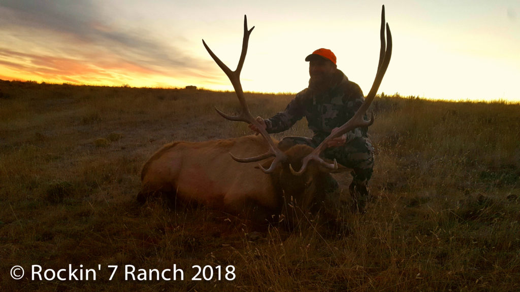 Guided Elk Hunts Wyoming