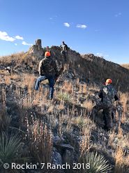 Wyoming Hunting Lodge Mule Deer Antelope