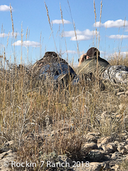 Wyoming Hunting Lodge Mule Deer Antelope