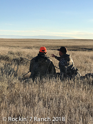 Wyoming Hunting Lodge Mule Deer Antelope