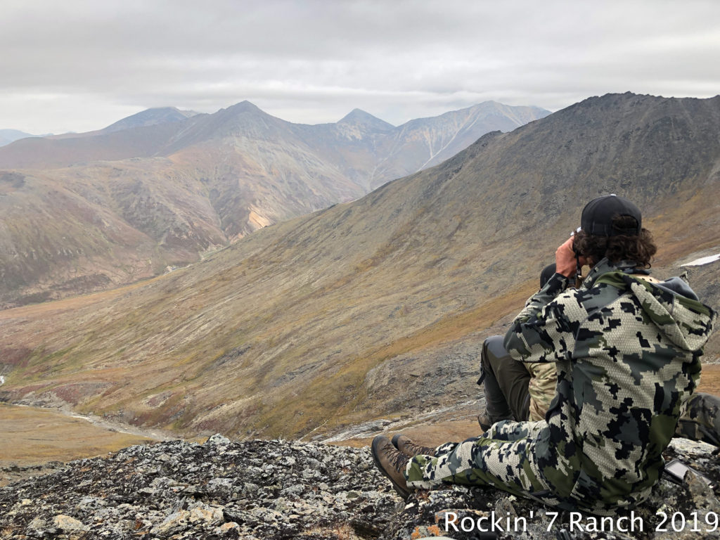 Dall Sheep Hunt Alaska Rockin' 7 Ranch