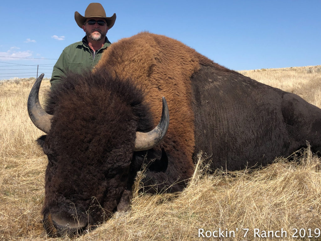 Wyoming Buffalo Bison Hunting Lodge