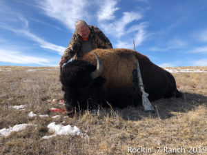 Wyoming Buffalo Bison Trophy Meat Hunt