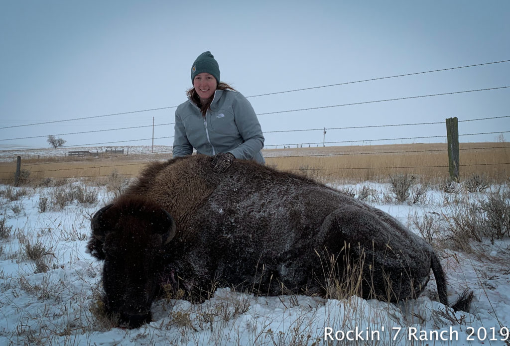 Wyoming Buffalo Bison Trophy Meat Hunt